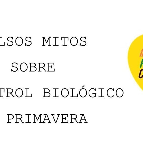 falsos mitos bichos imagen