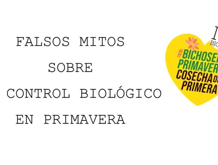 falsos mitos bichos imagen