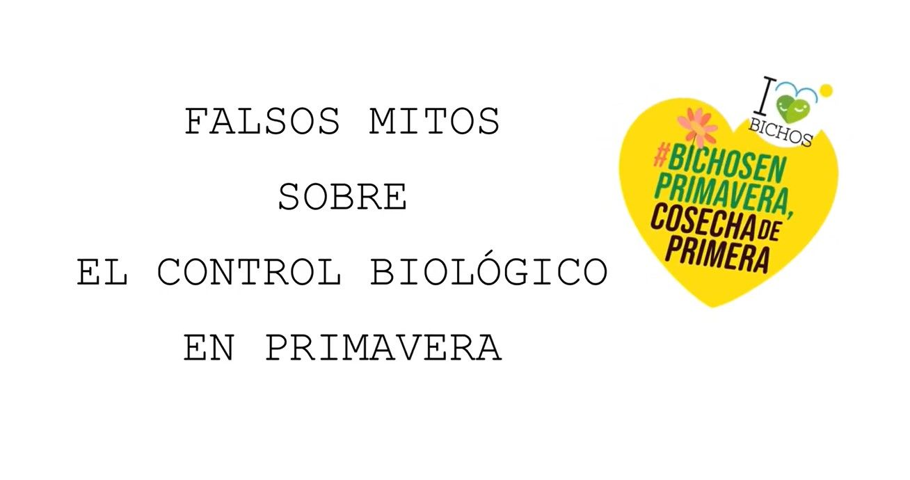 falsos mitos bichos imagen