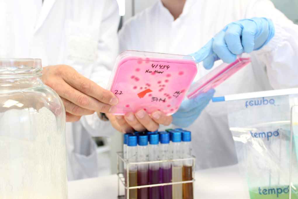 investigadores CNTA