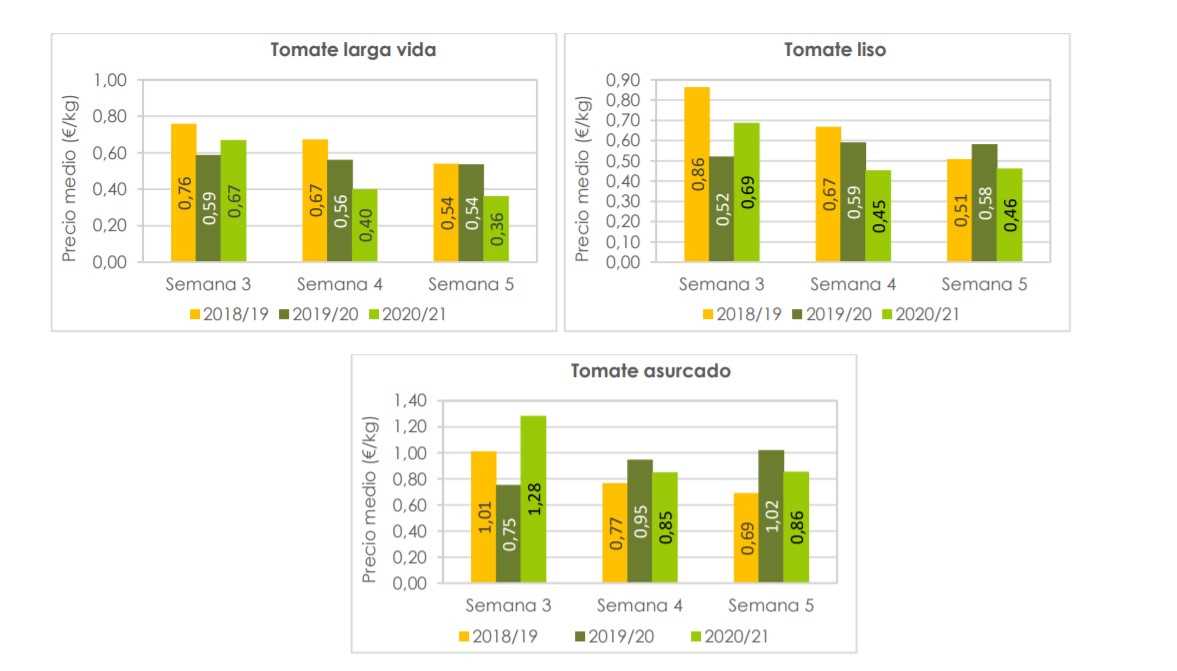 precio tomate semana 5
