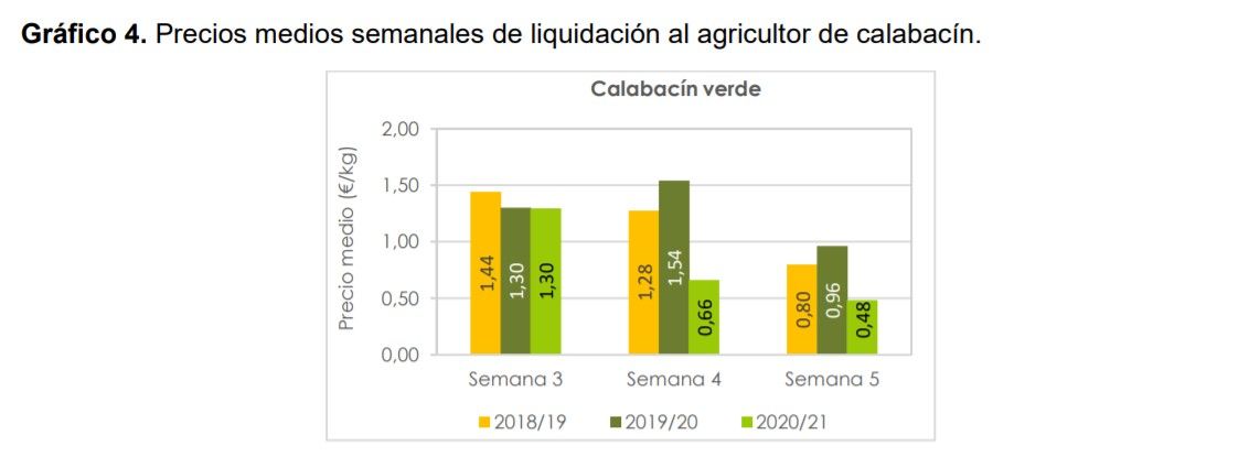 precios calabacín semana 5