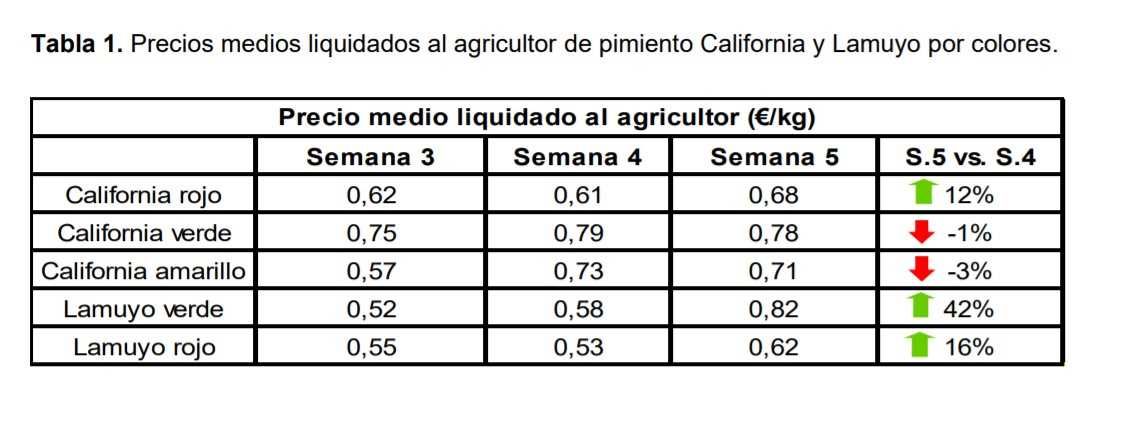 precios pimiento semana 5