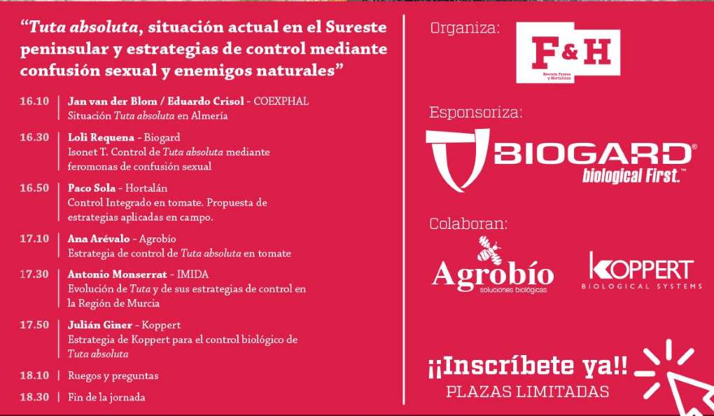 programa tuta