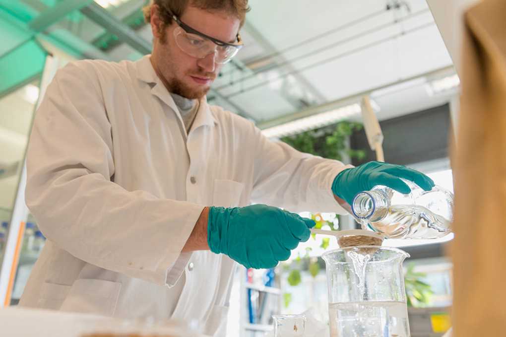 investigación syngenta