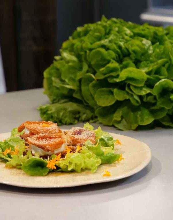 Ensalada Hoja de Roble