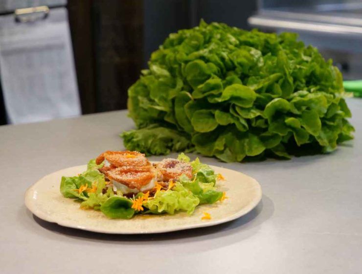 Ensalada Hoja de Roble