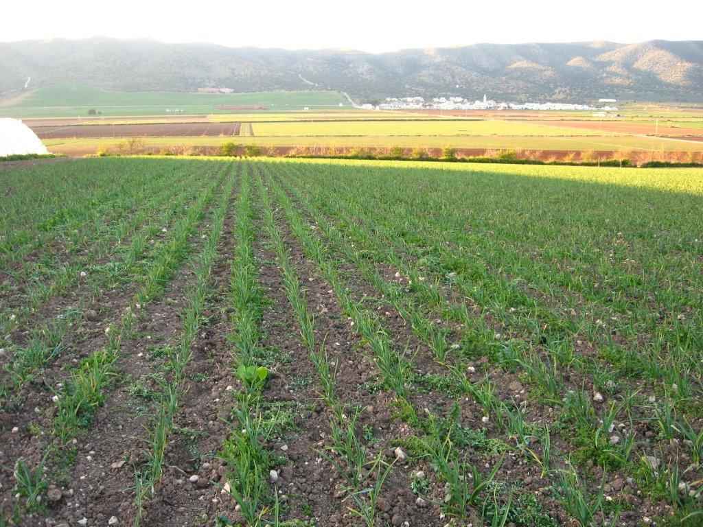 Finca producción ecológico