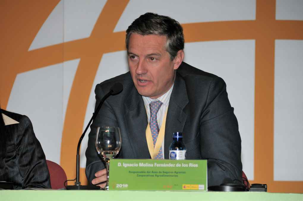 IGNACIO MOLINA