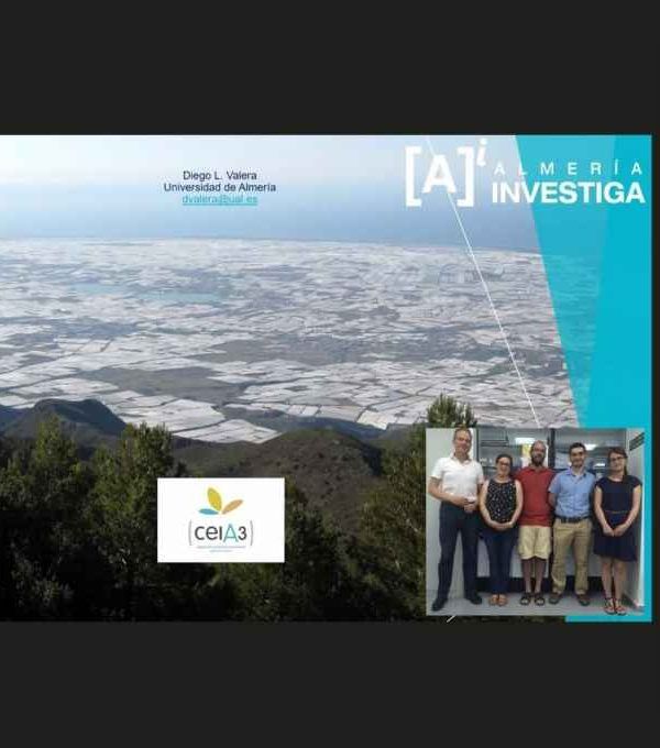 PROYECTO AGROMIS