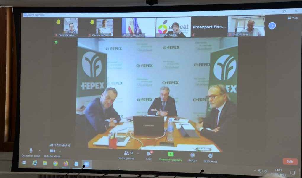 asamblea fepex
