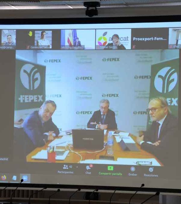 asamblea fepex