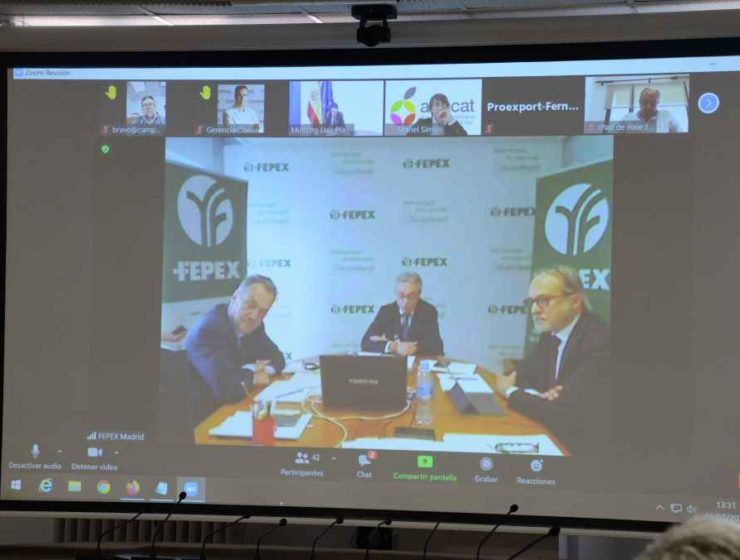 asamblea fepex