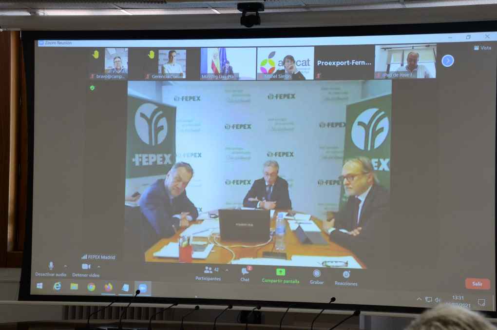asamblea fepex
