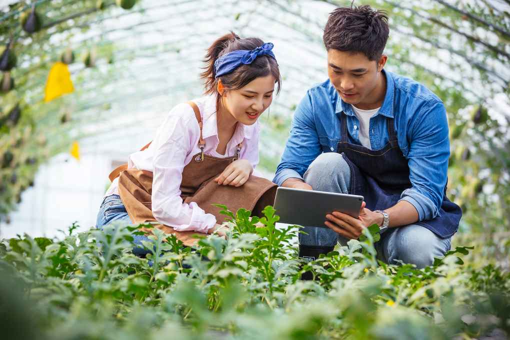 basf agro