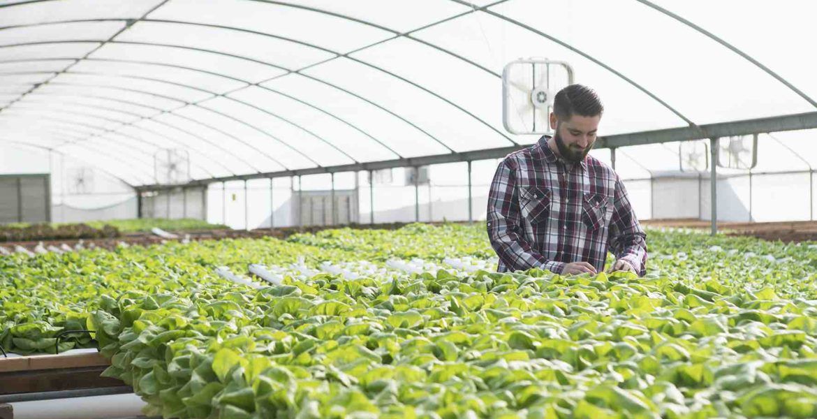 basf agro