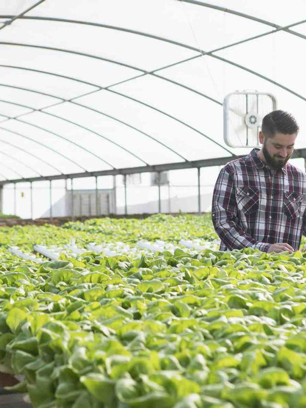 basf agro