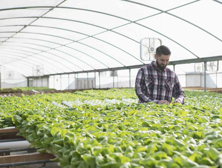 basf agro