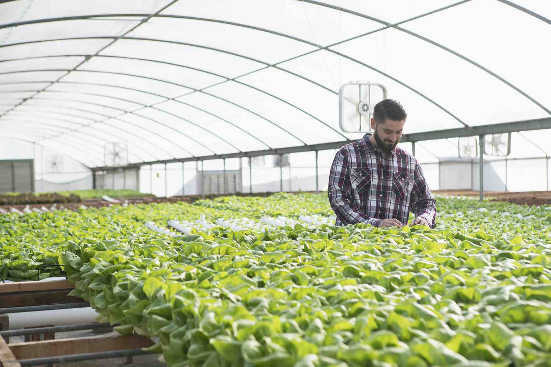 basf agro
