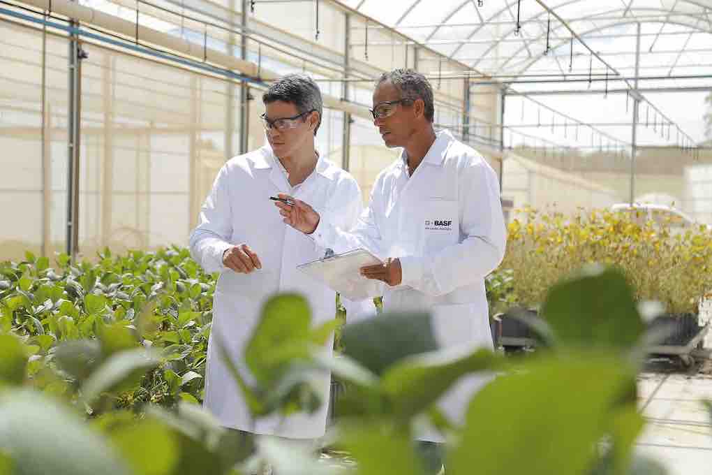 basf agro