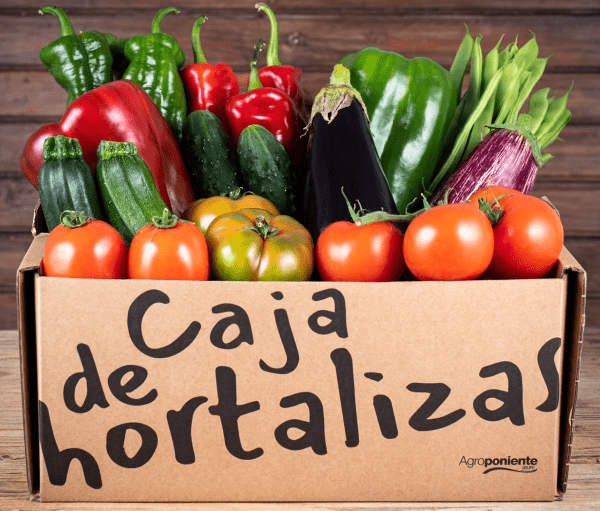 caja agroponiente