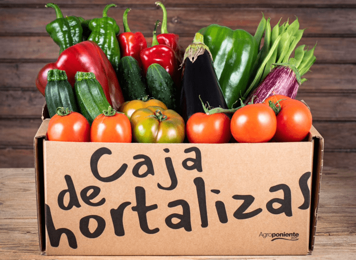 caja agroponiente