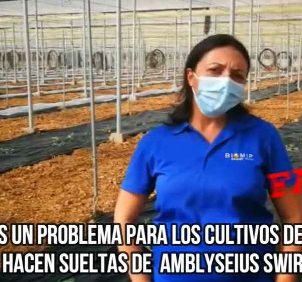 falso mito biomip