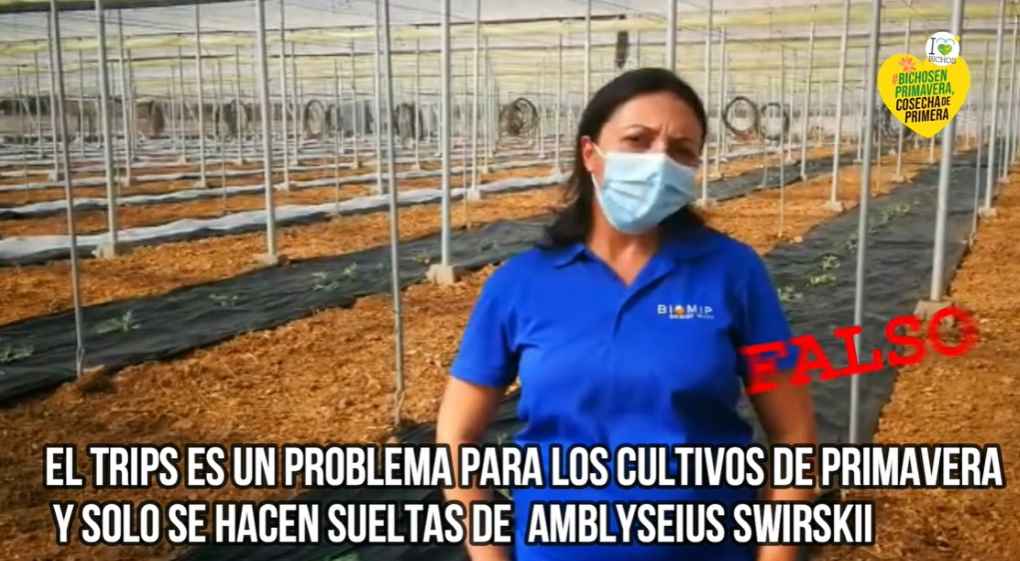 falso mito biomip