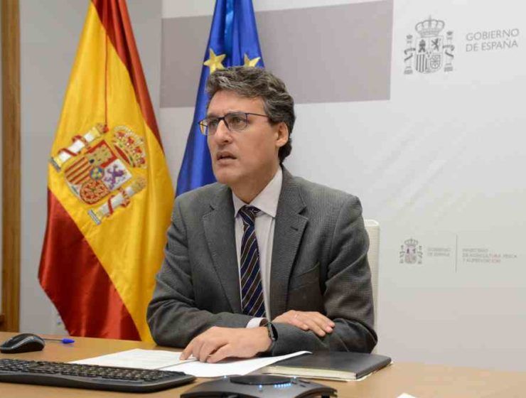 fernando miranda