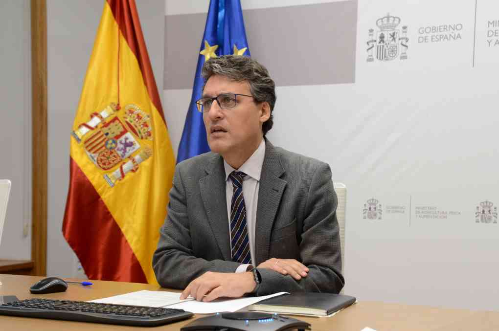 fernando miranda