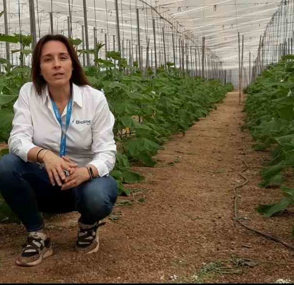 Davinia Jurado Bioline Control biológico