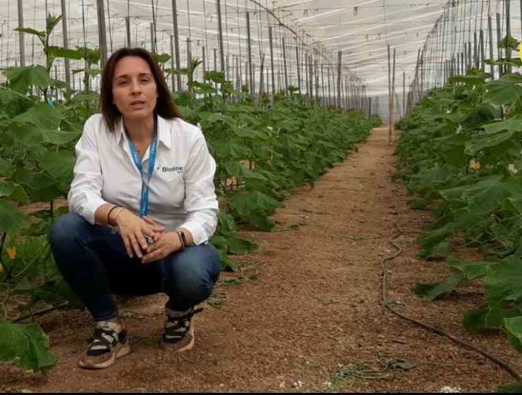 Davinia Jurado Bioline Control biológico