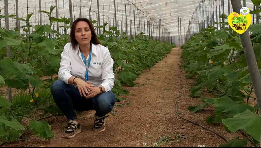 Davinia Jurado Bioline Control biológico