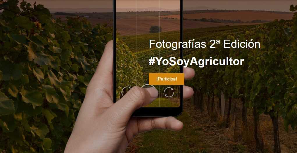 fotografía basf