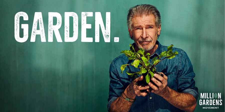 harrison ford
