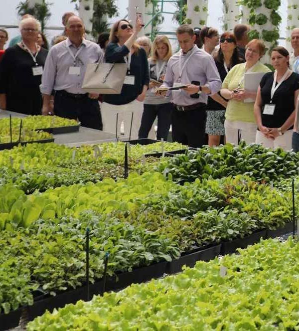 jornada agrícola