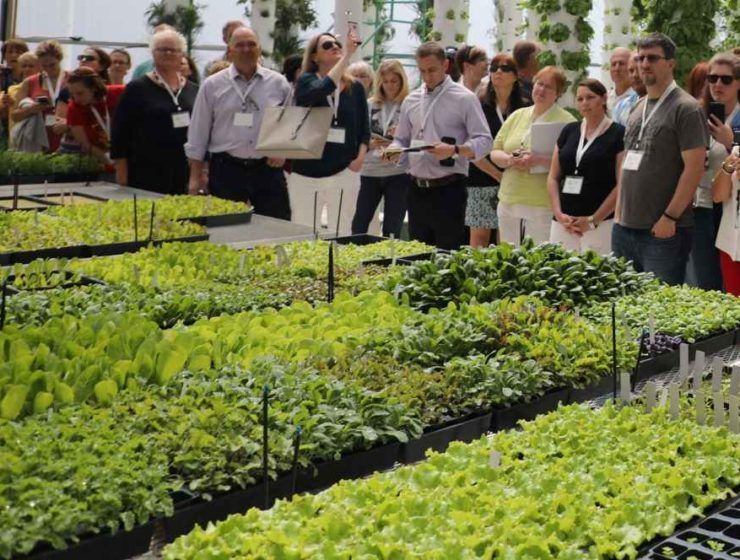 jornada agrícola