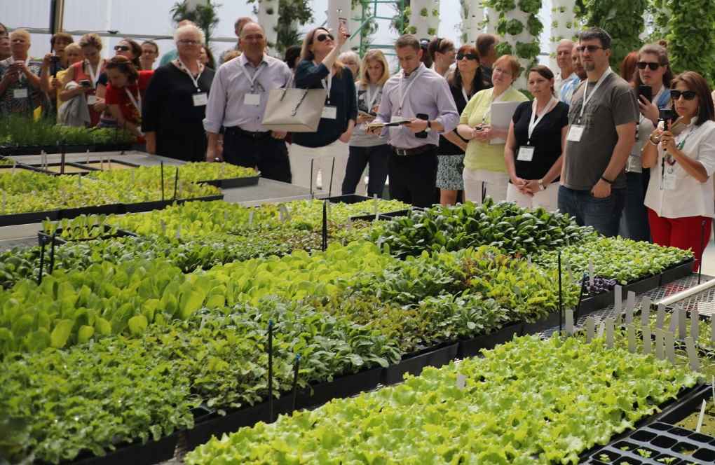 jornada agrícola