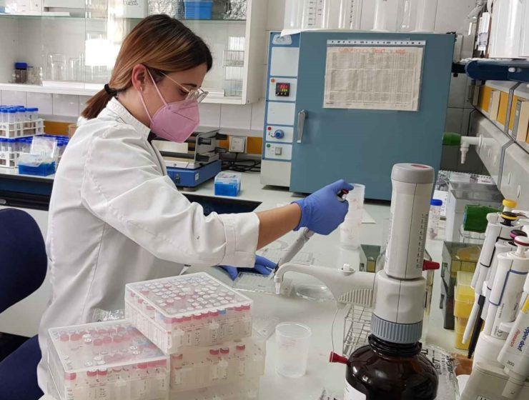 laboratorio LABCOLOR