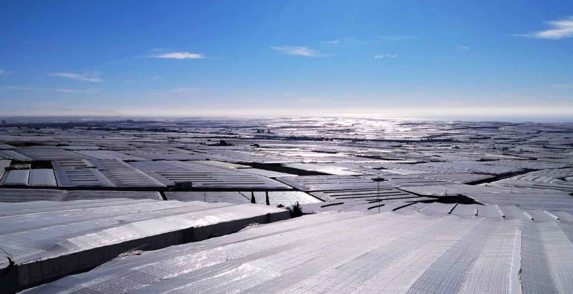 panorámica invernaderos