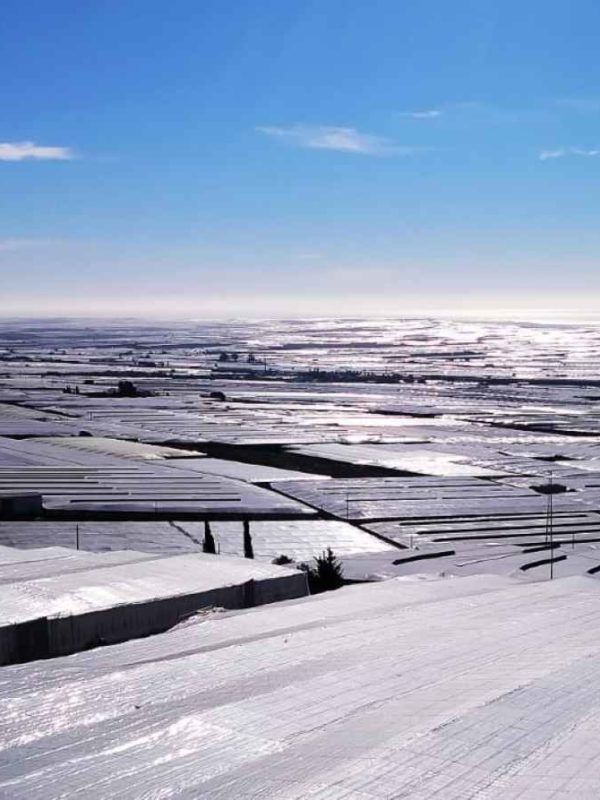 panorámica invernaderos