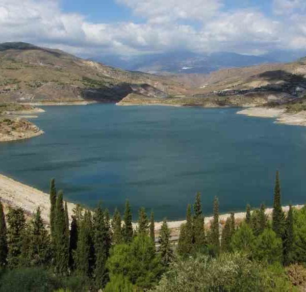 pantano