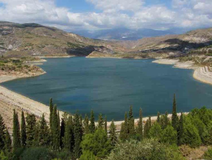 pantano