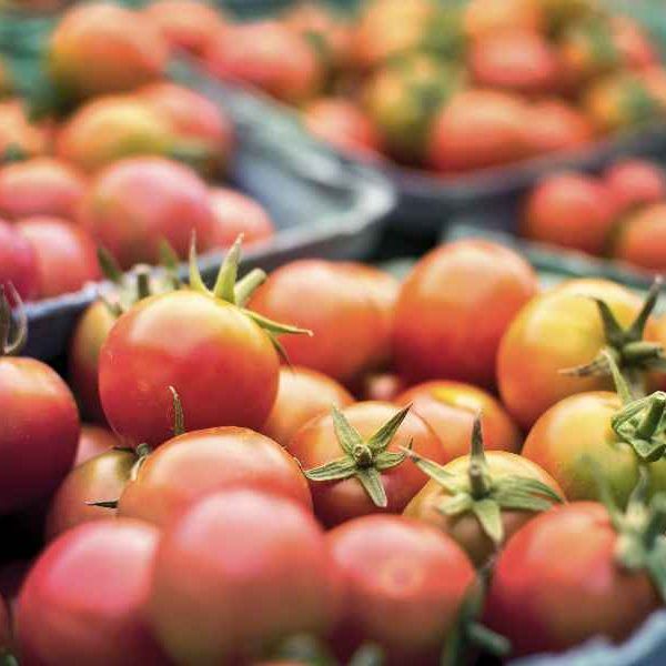 seguridad alimentaria