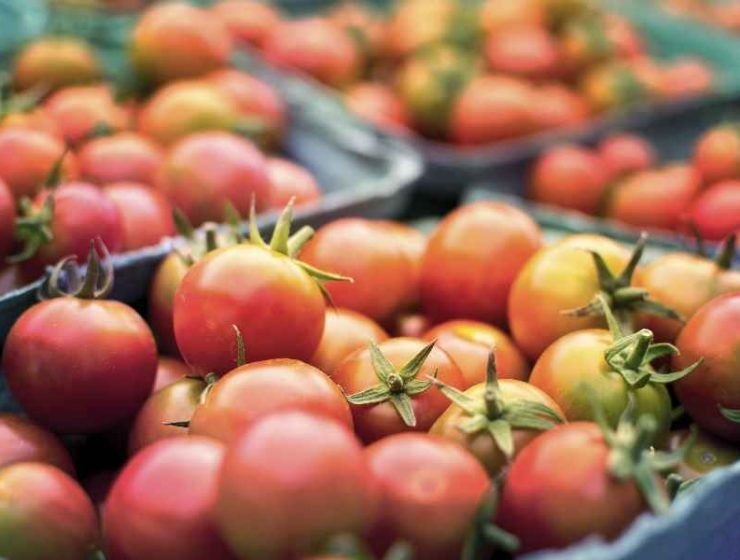 seguridad alimentaria