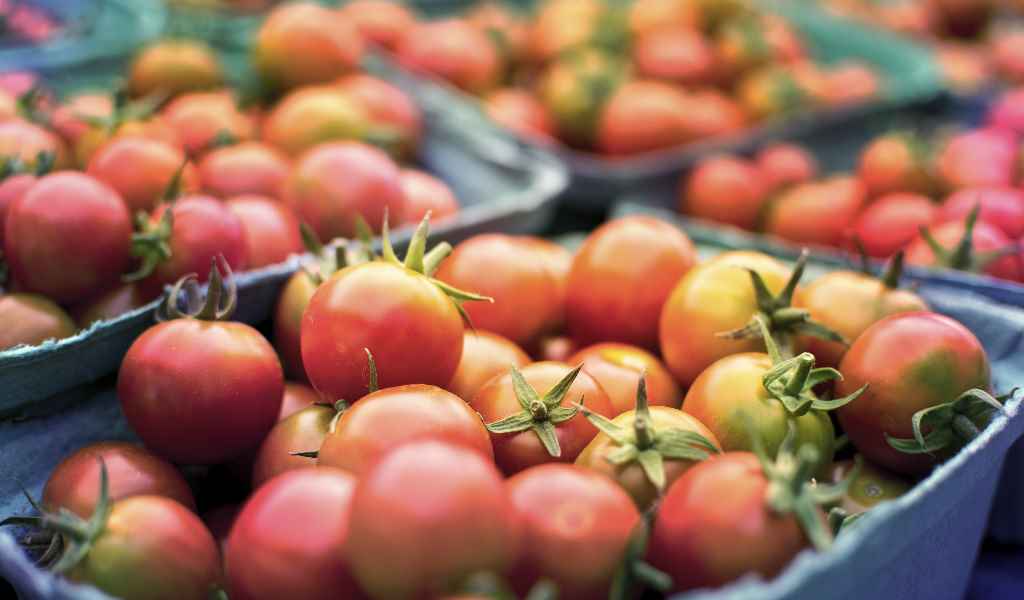seguridad alimentaria