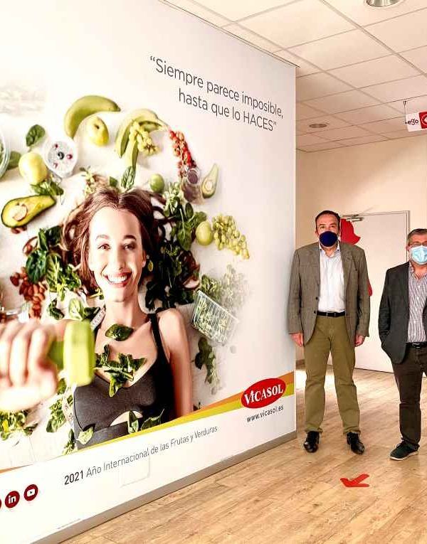 Vicasol Grupo Nexa