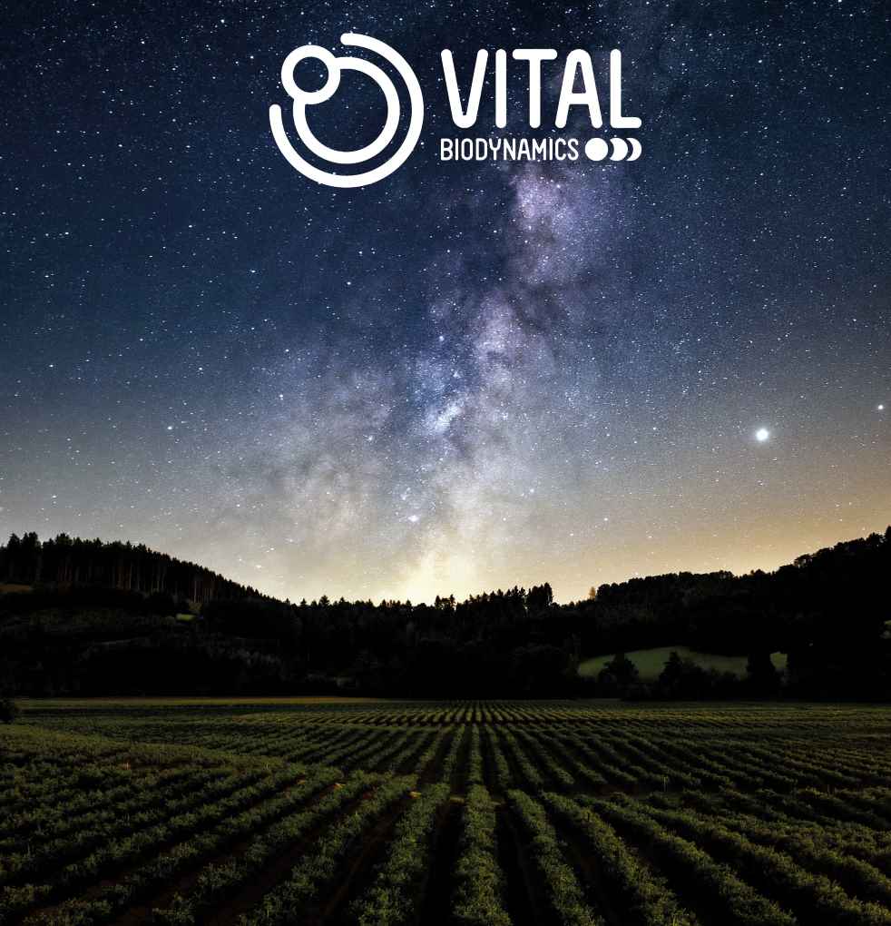 vital