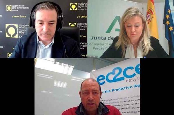 webinar cooperativas digitalización