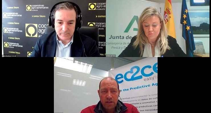 webinar cooperativas digitalización